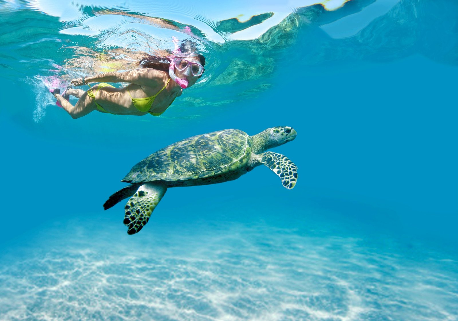 Reef snorkel – DiveLife Riviera Maya